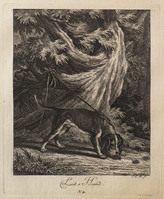 KG 01073
          <br/>
          Entwurf einiger Thiere. Erster Theil. (18 bladen)
          <br/>
          <em>Ridinger, Johann Elias (1698-1767)</em>